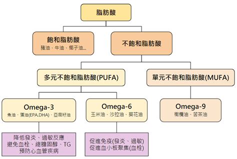 omega 6發炎|omega 3 脂肪酸.